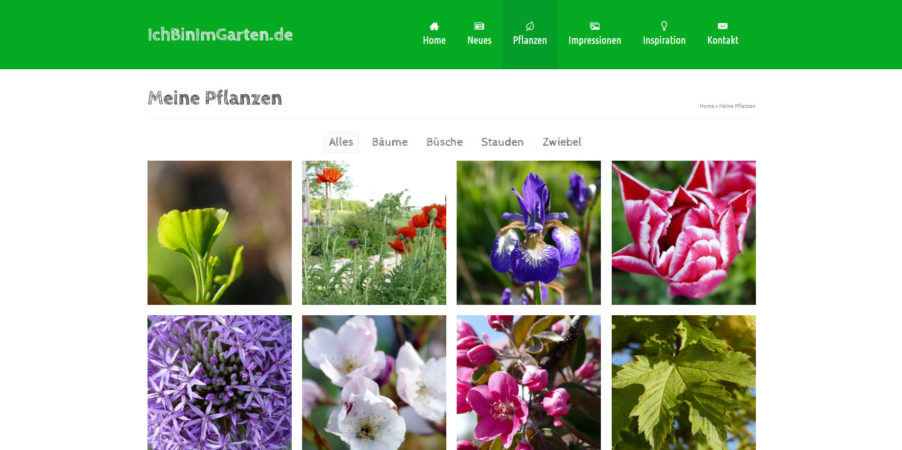 ichbinimgarten.de - Garten Website